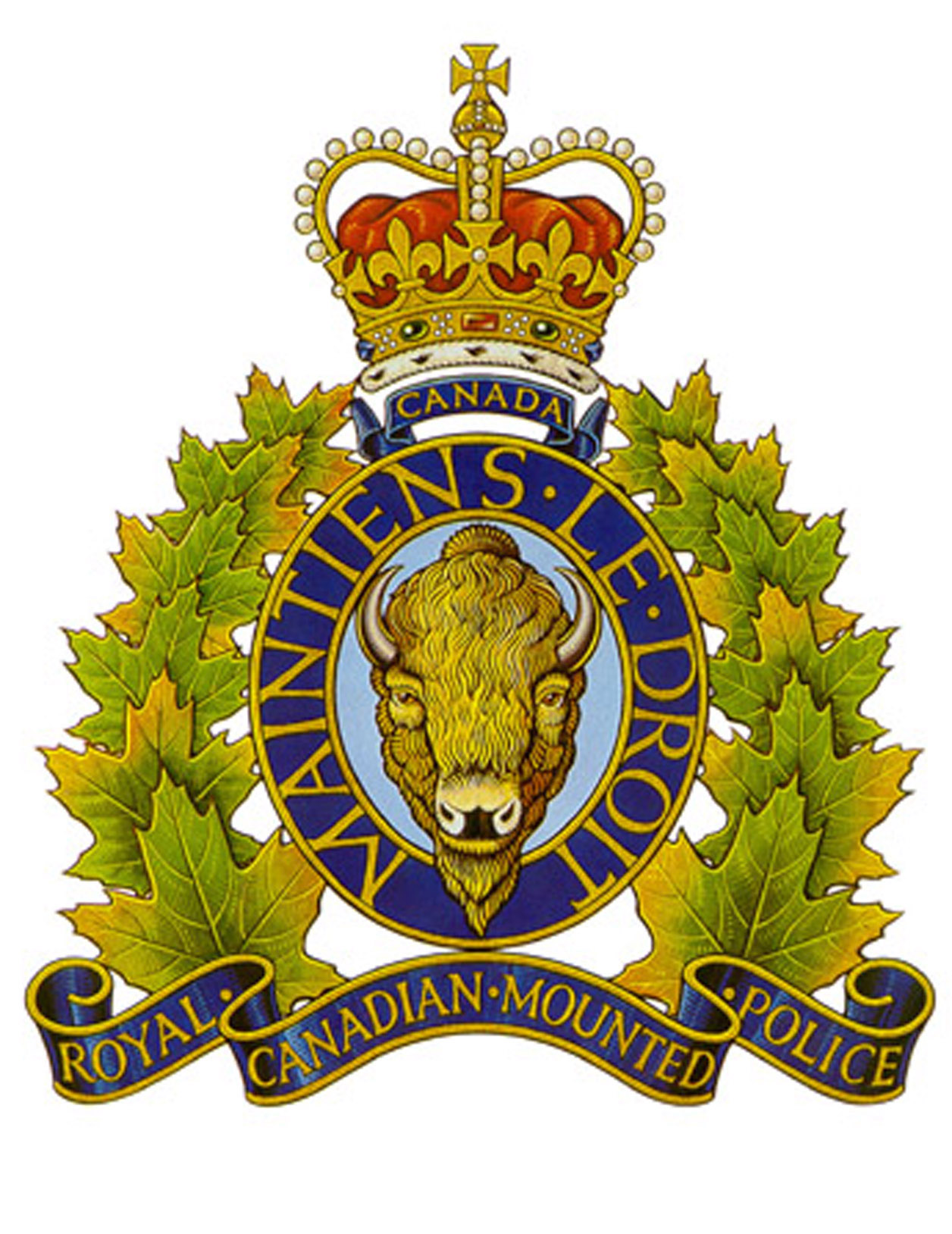 Elk Point RCMP investigate Break and Enter at a local business