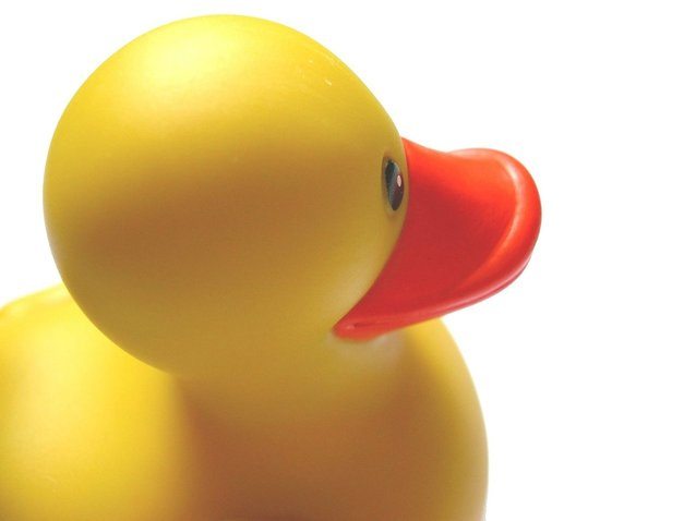 26th Annual Ardmore Duck Race This Sunday