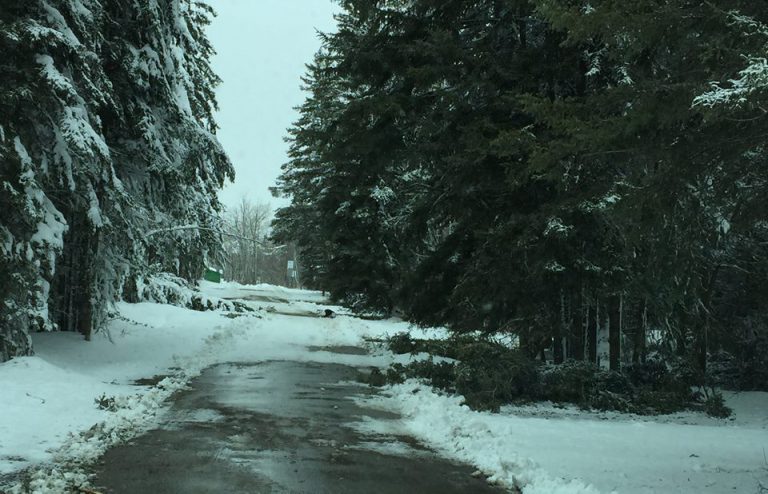 Cold Lake MD Park Closed Down From Storm Damage