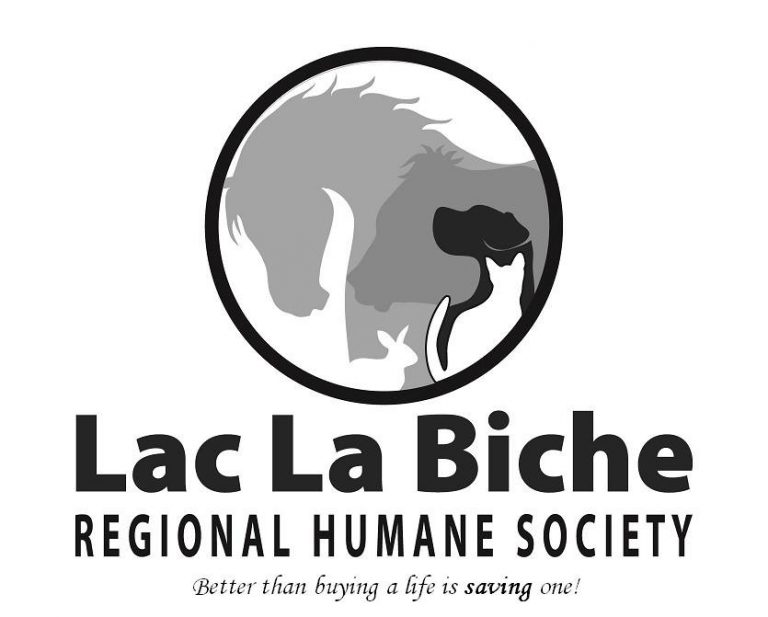 Donation Box For LLB Humane Society Stolen
