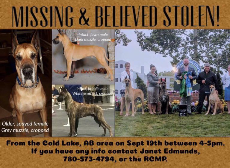 Three Missing Dogs Believed Stolen From Cold Lake Area
