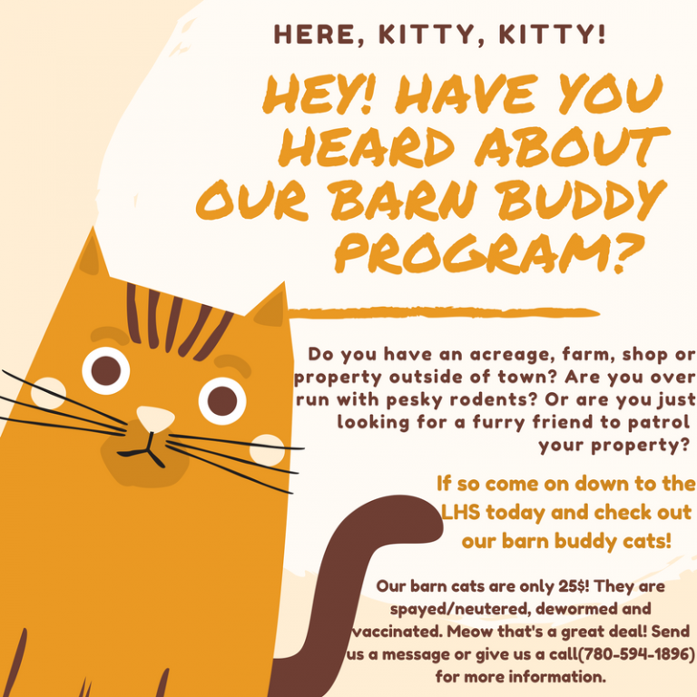 Lakeland Humane Society offering barn buddies