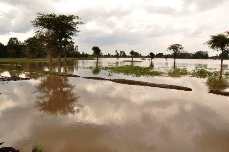 Cold Lake First Nations to get flood funding