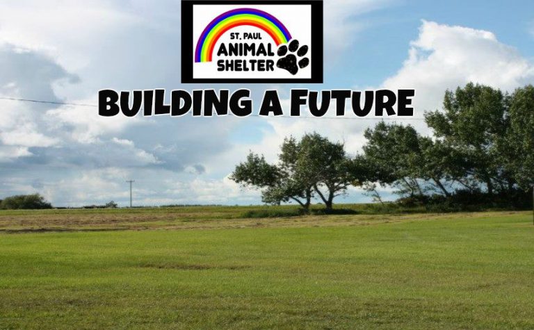 St. Paul Animal shelter feeling optimistic about future