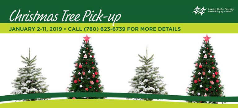 Christmas tree recycling returns to Lac La Biche County