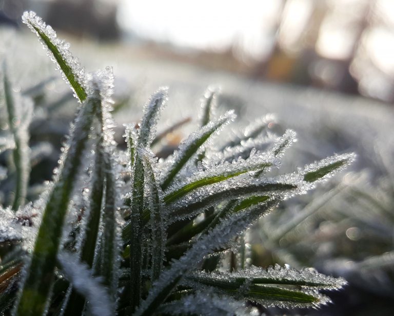 Extreme cold warning issued for M.D. of Bonnyville