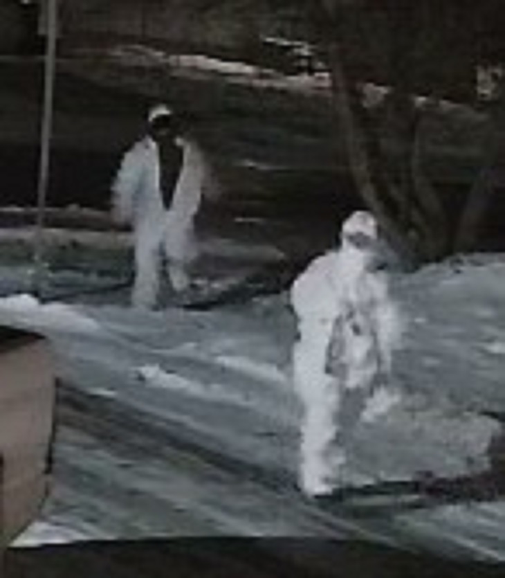 St. Paul RCMP seeking help to identify break and enter suspects