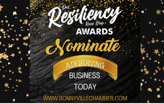 Chamber awards recognize resiliency through tough times