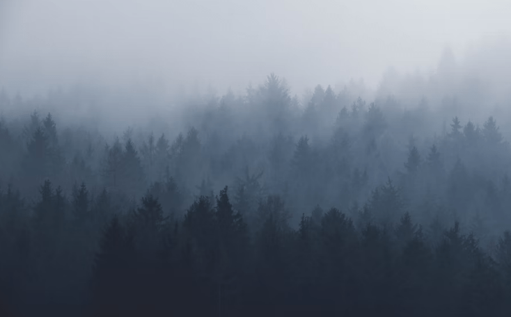 Lakeland fog warning