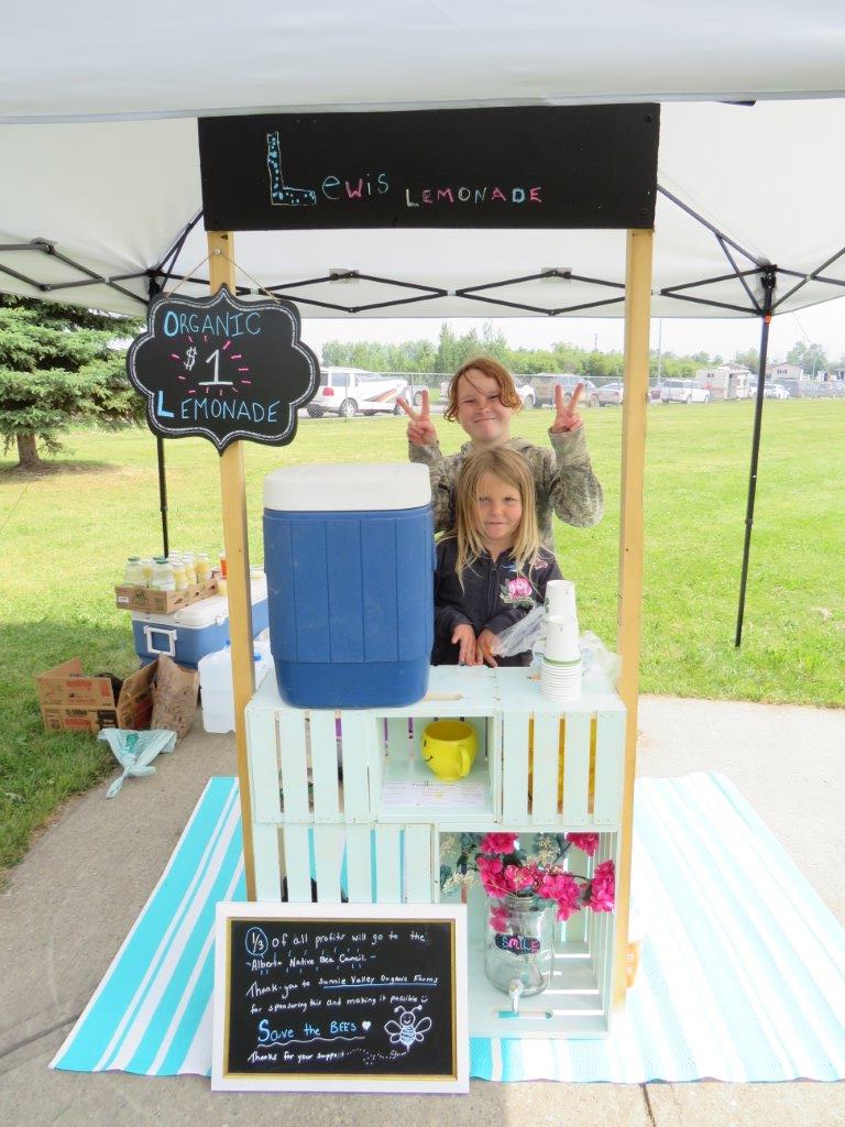 Lakeland youth learn business basics on lemonade day