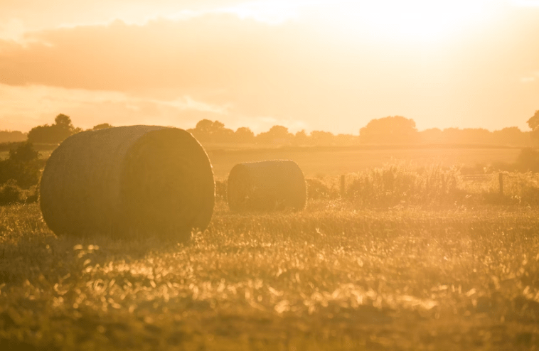 Lakeland gets ready for Alberta Open Farm Days