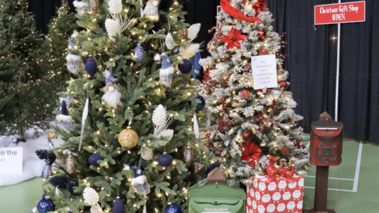 Bonnyville’s festival of trees marks 15 years of community living and Christmas cheer