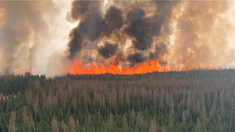 Alberta Government urges collective action amid elevated wildfire risk