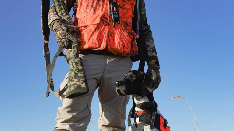 St. Paul RCMP share safety guidelines for Alberta’s hunting season