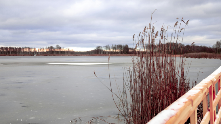 RCMP urges caution on ice covered lakes and ponds this winter