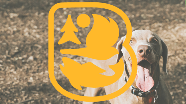 Bonnyville updates Animal Control Bylaw to enhance pet accountability