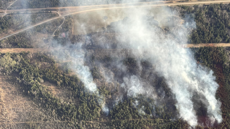 Wildfire near Highway 660 now being held after quick response