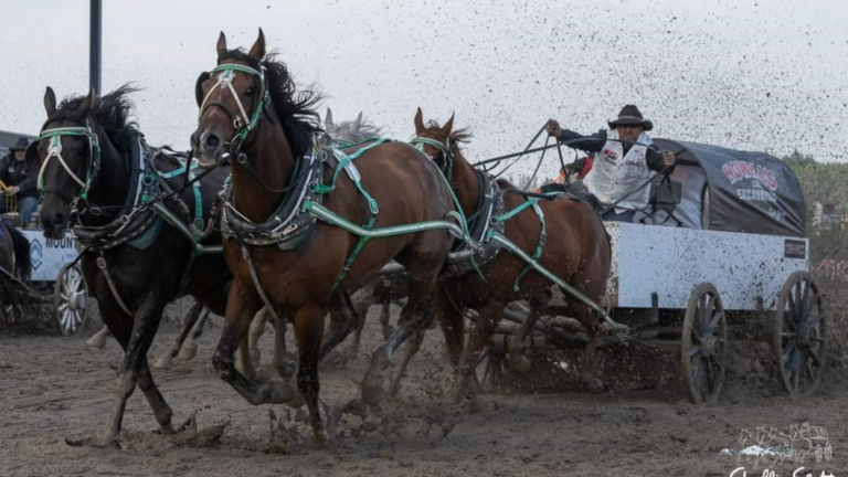 Pro Rodeo and Chuckwagon Races return to Bonnyville June 5-8