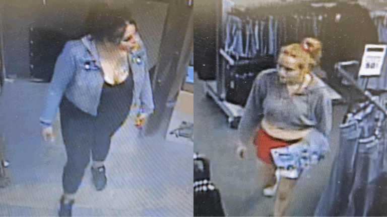 St. Paul RCMP seeking help in identifying suspects in purse and vehicle theft